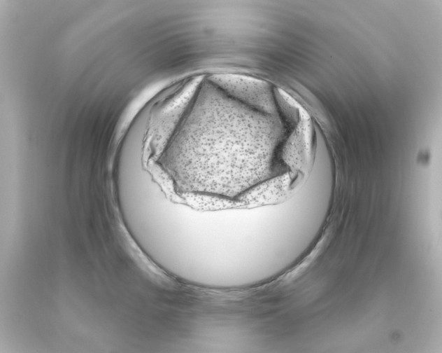 X0000093141196200710241336