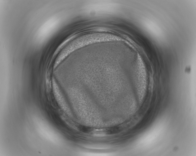 X0000093141198200710241336