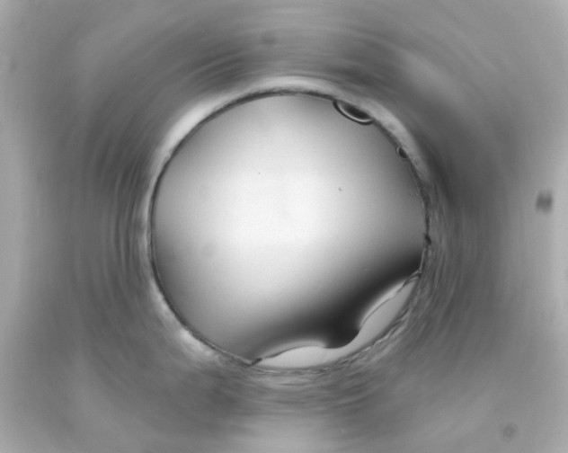 X0000093141199200710241336