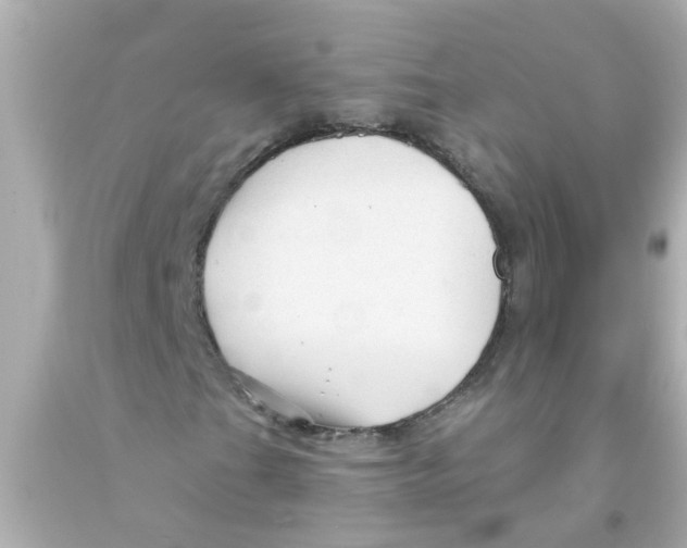 X0000093141201200710241335