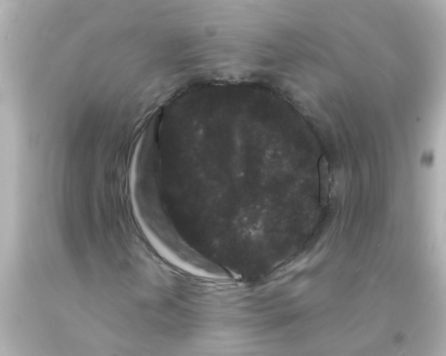 X0000093141202200710241335