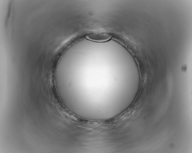 X0000093141205200710241335