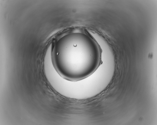 X0000093141206200710241335