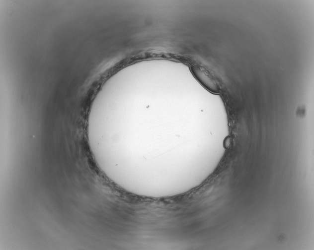 X0000093141207200710241335