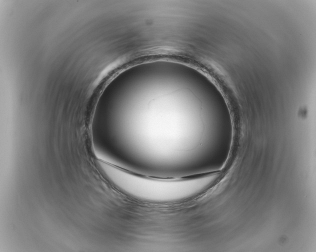 X0000093141210200710241335