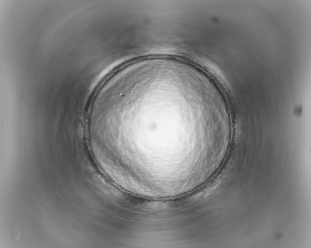 X0000093141212200710241335