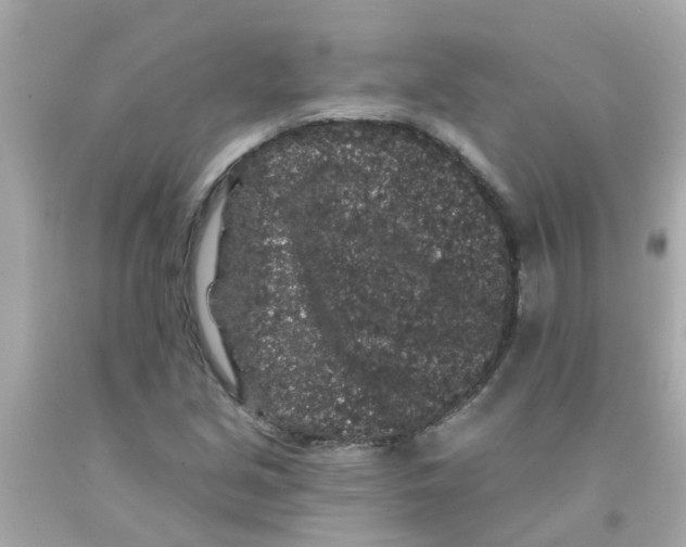 X0000093141213200710241335