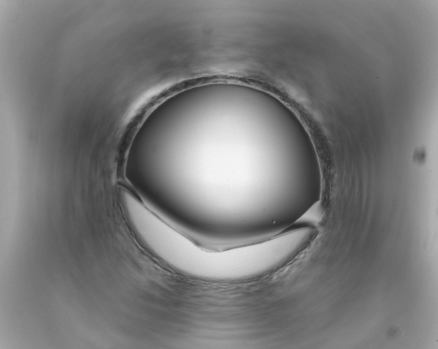 X0000093141214200710241336