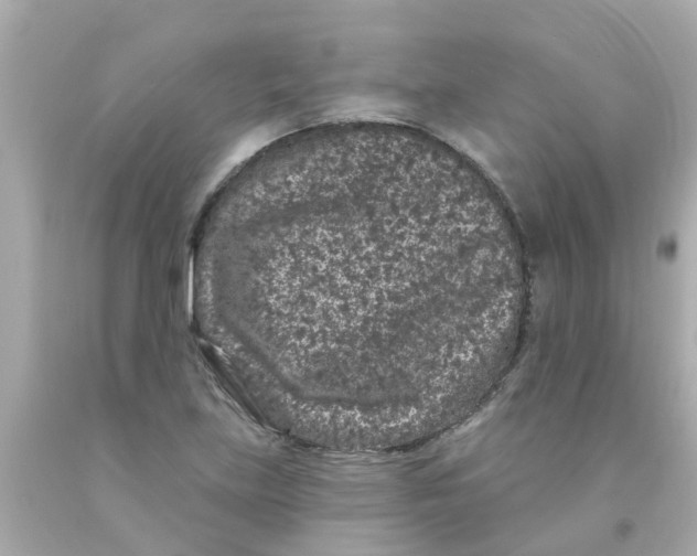 X0000093141219200710241336