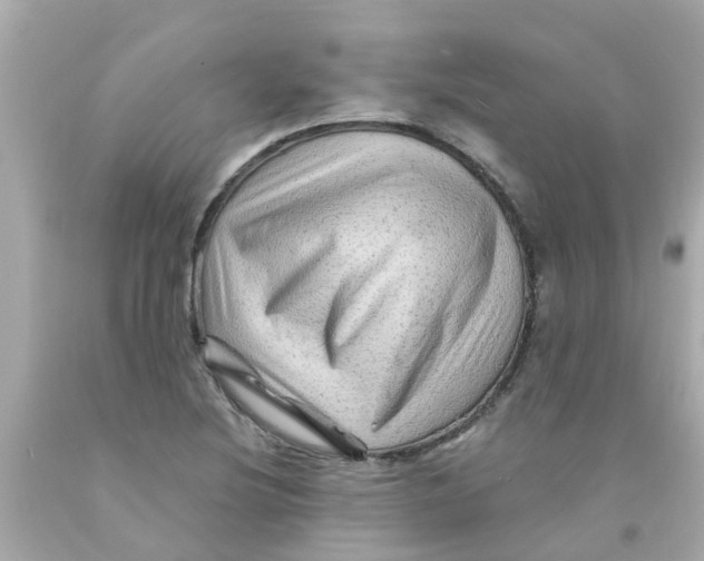 X0000093141220200710241336