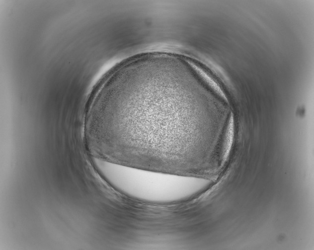 X0000093141224200710241336