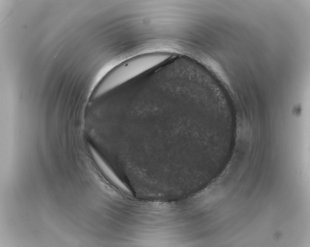 X0000093141226200710241336