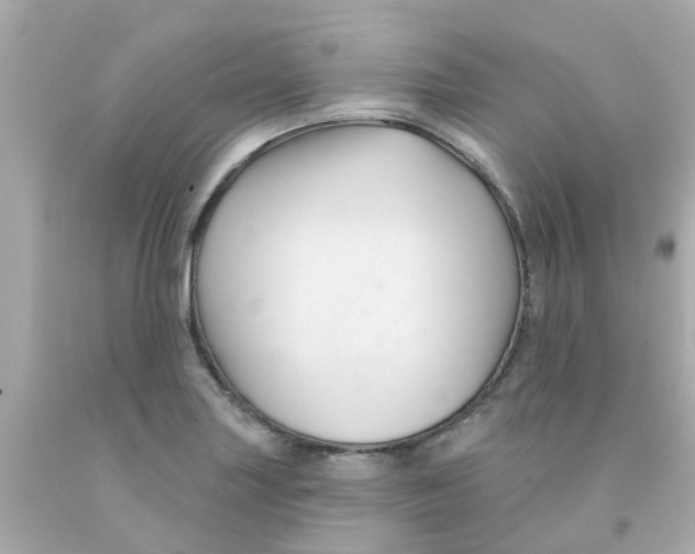 X0000093141227200710241336