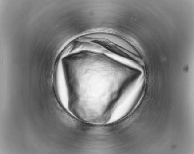 X0000093141228200710241336