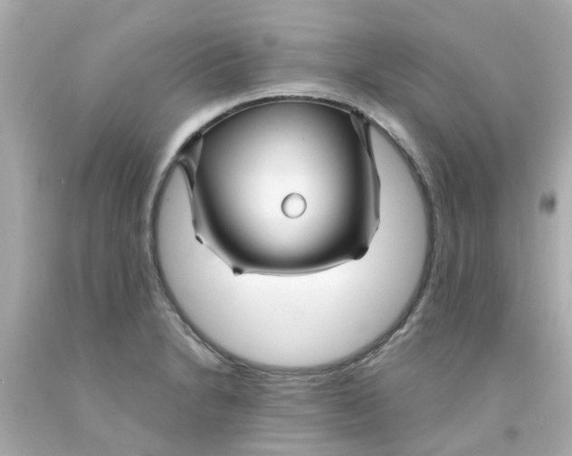 X0000093141230200710241336