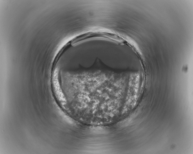 X0000093141231200710241336