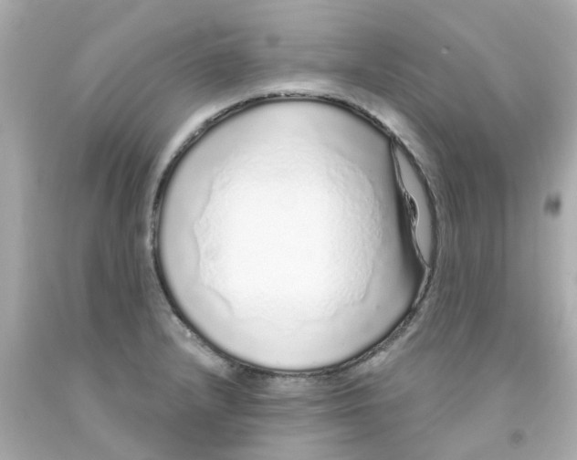 X0000093141232200710241336