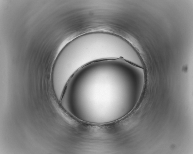 X0000093141234200710241336