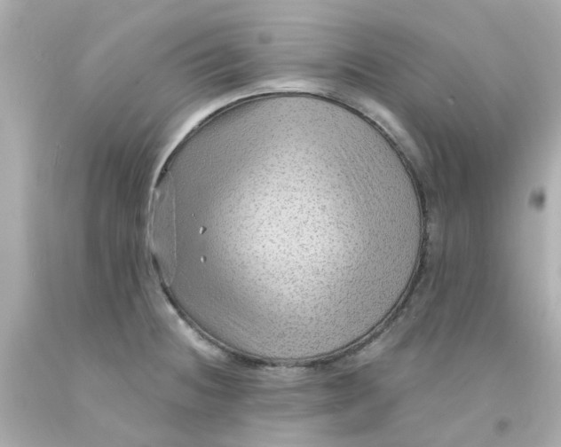 X0000093141236200710241336