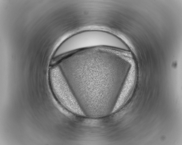 X0000093141237200710241336