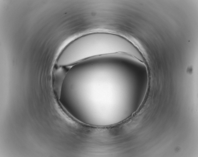 X0000093141238200710241336