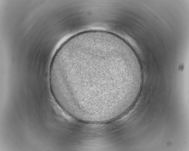 X0000093141240200710241336