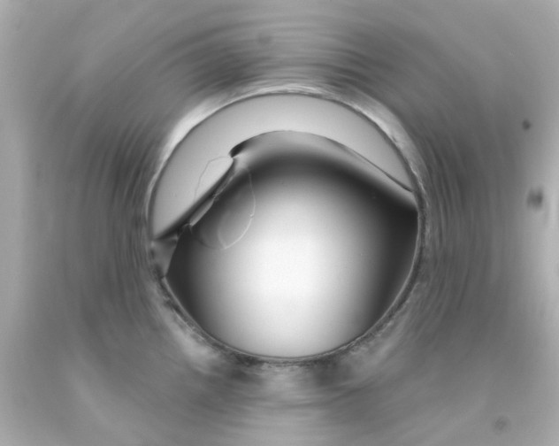 X0000093141242200710241336