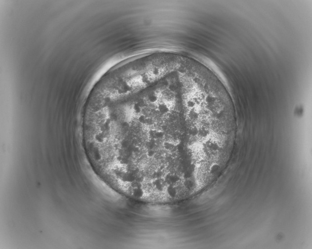 X0000093141243200710241336