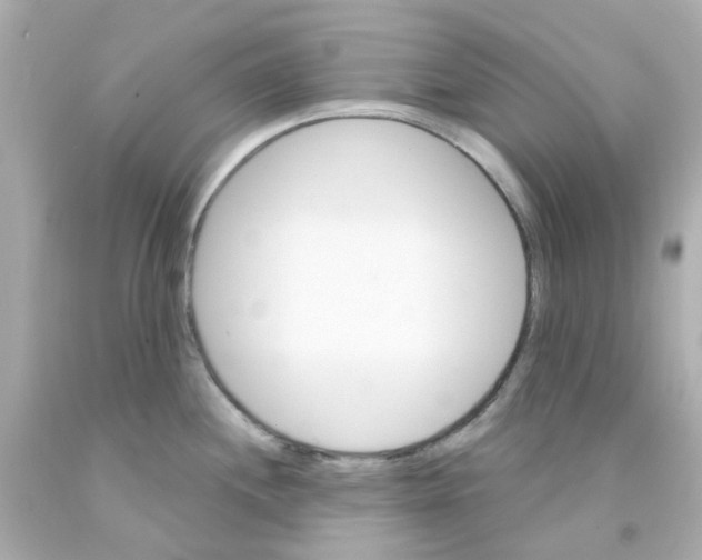 X0000093141244200710241336