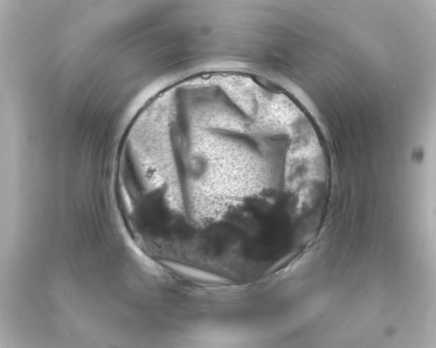 X0000093141245200710241336