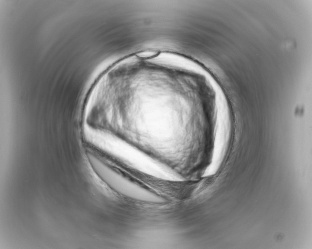 X0000093141248200710241336