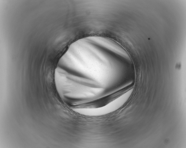 X0000093141250200710241335