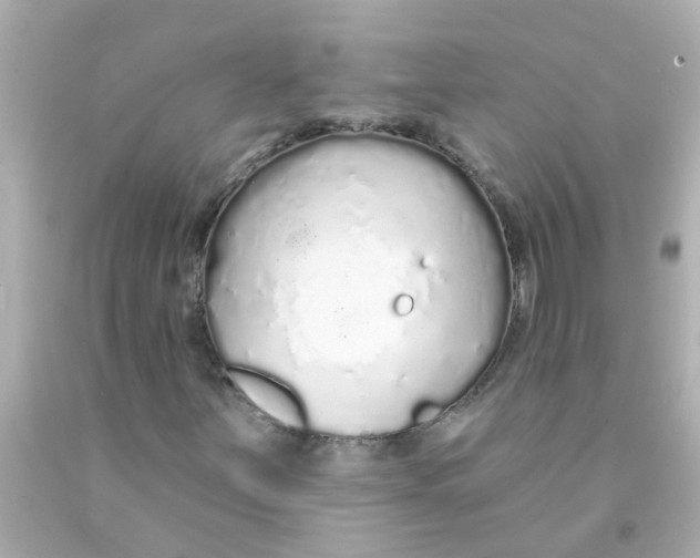 X0000093141251200710241335