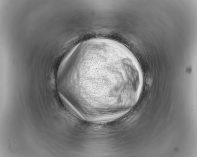 X0000093141252200710241335