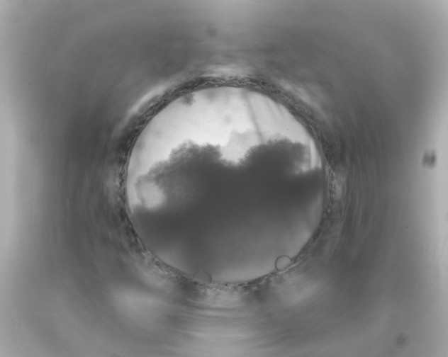 X0000093141254200710241335