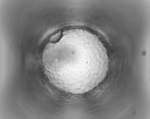 X0000093141255200710241335