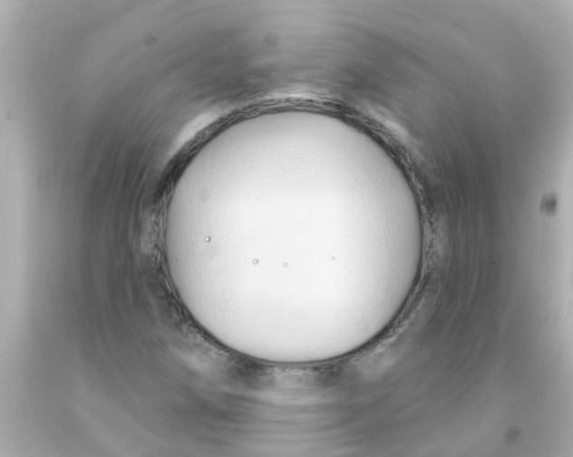 X0000093141258200710241335