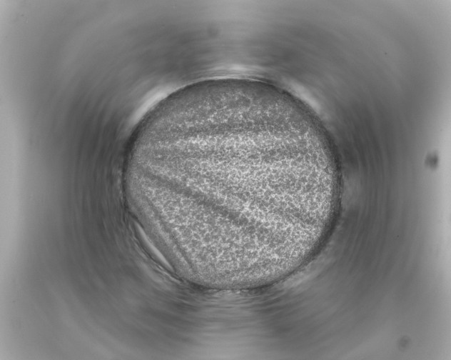 X0000093141259200710241335