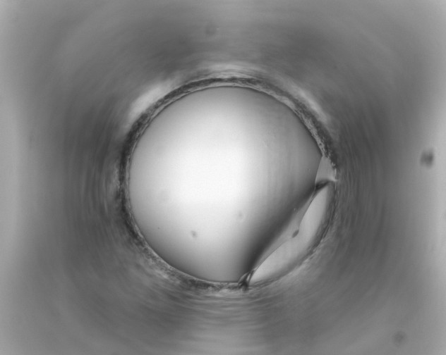 X0000093141261200710241335