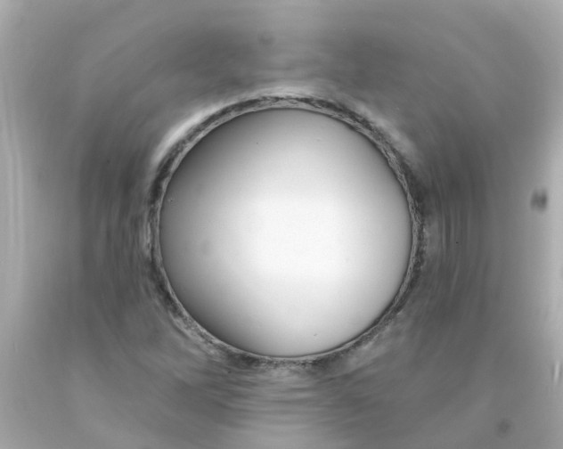 X0000093141262200710241335