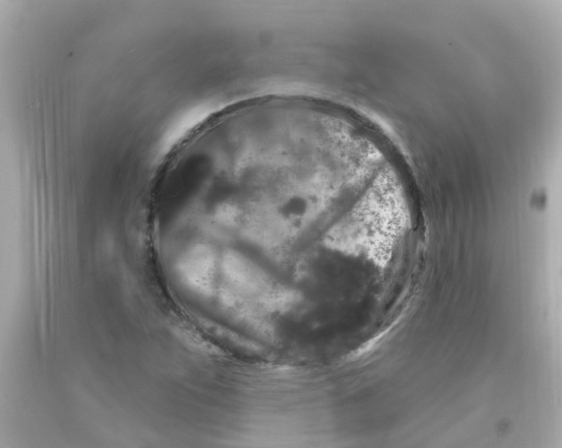 X0000093141263200710241335