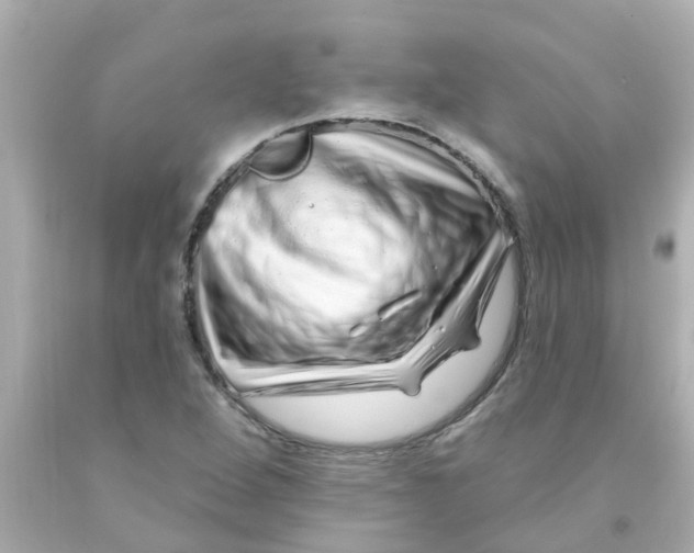 X0000093141264200710241335