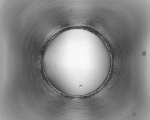 X0000093141265200710241335