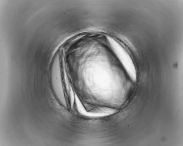 X0000093141268200710241335