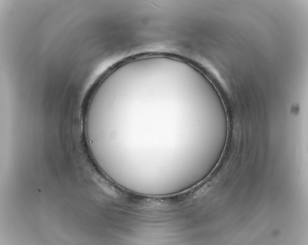 X0000093141270200710241335