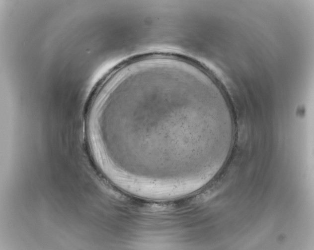 X0000093141271200710241335