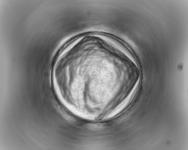 X0000093141272200710241335