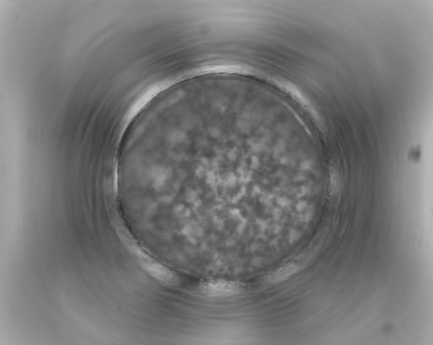 X0000093141274200710241335