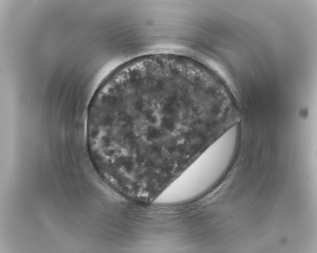 X0000093141275200710241335