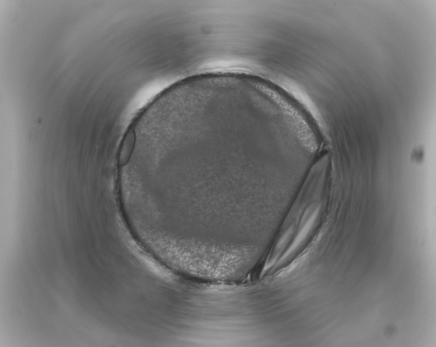 X0000093141277200710241335